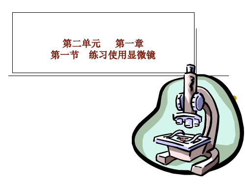 人教版七年级生物上册第2单元第1章第1节练习使用显微镜 (30张PPT)