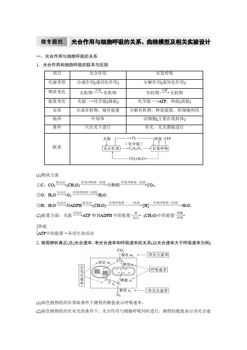 高中生物必修一 同步讲义第5章 微专题四 光合作用与细胞呼吸的关系、曲线模型及相关实验设计