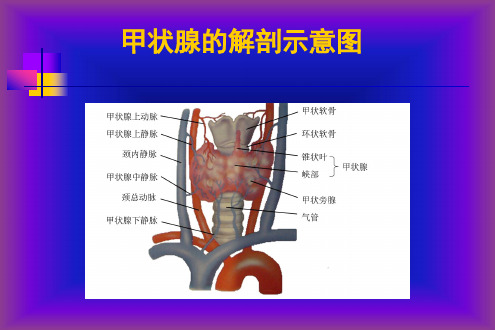 甲状腺的超声检查PPT课件