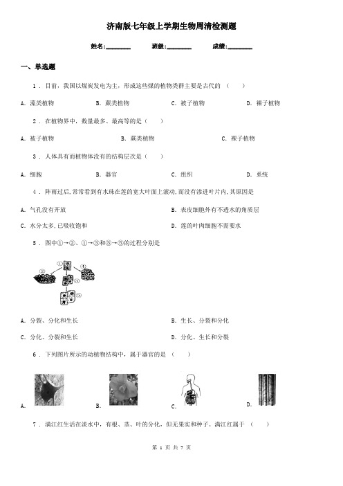 济南版七年级上学期生物周清检测题