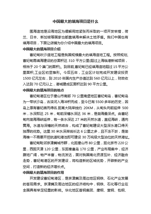 中国最大的填海项目是什么