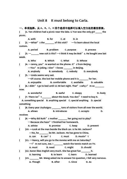 人教版九年级英语unit 8 能力测试题含答案