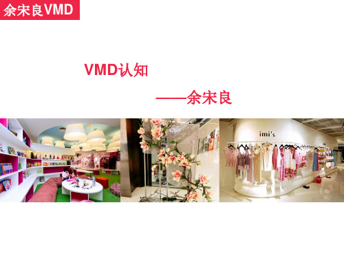 著名陈列规划师余宋良——认识VMD