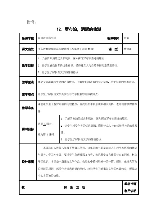 人教版初二语文下册消失的罗布泊