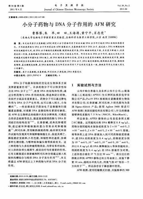 小分子药物与DNA分子作用的AFM研究