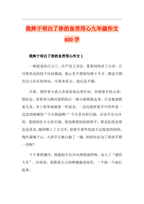 我终于明白了你的良苦用心九年级作文600字