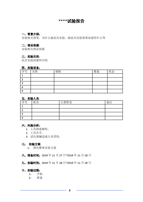 实验试验报告模板