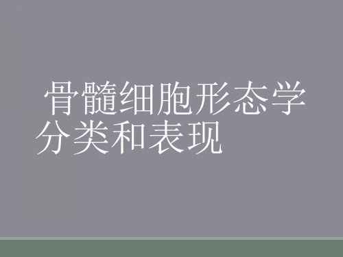 骨髓细胞形态学分类和表现