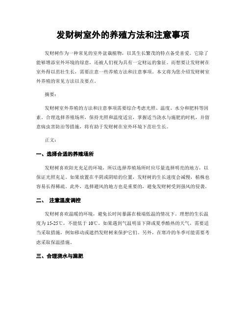 发财树室外的养殖方法和注意事项