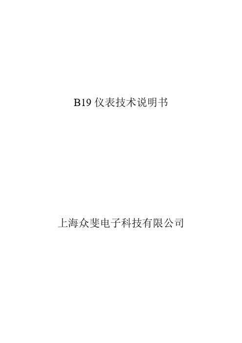 B19仪表技术说明书