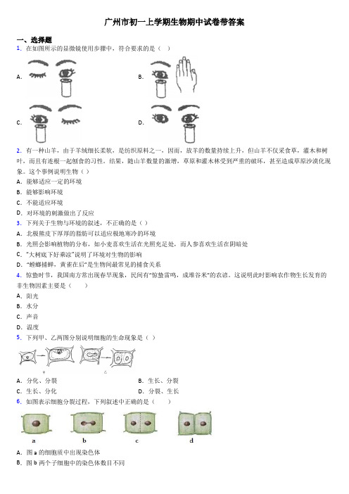 广州市初一上学期生物期中试卷带答案