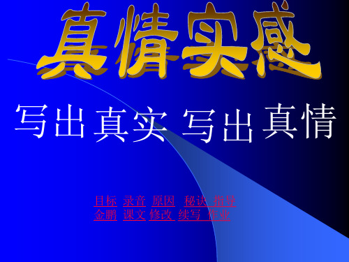 九年级语文写出真情实感PPT教学课件