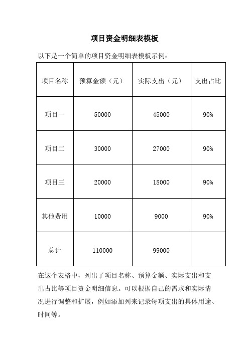 项目资金明细表模板