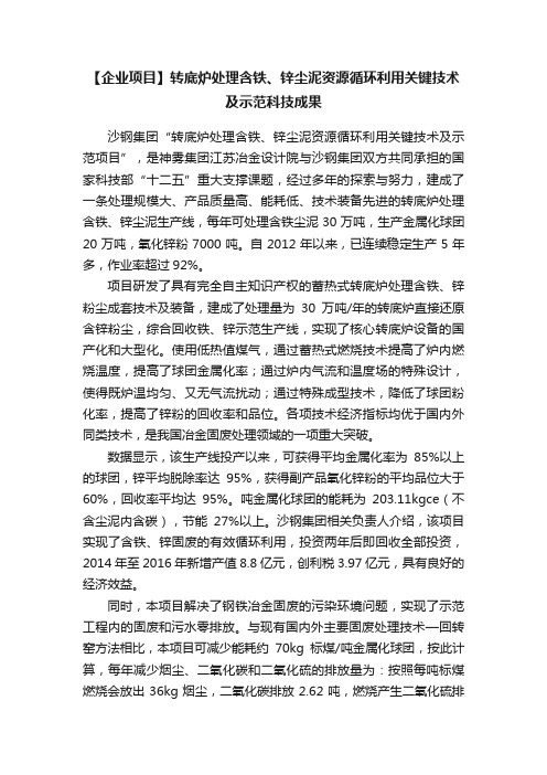 【企业项目】转底炉处理含铁、锌尘泥资源循环利用关键技术及示范科技成果