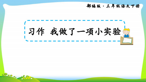 习作 我做了一项小实验(上课课件,共14张PPT)语文人教部编版三年级下.ppt