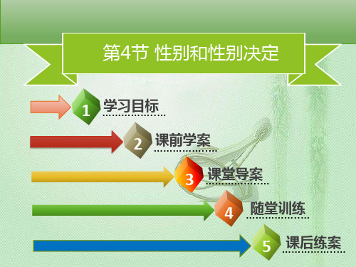 八年级生物上册 第六单元 第20章 第4节 性别和性别决定习题优质课件 (新版)北师大版