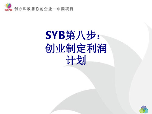 SYB第八步创业制定利润计划优质PPT课件