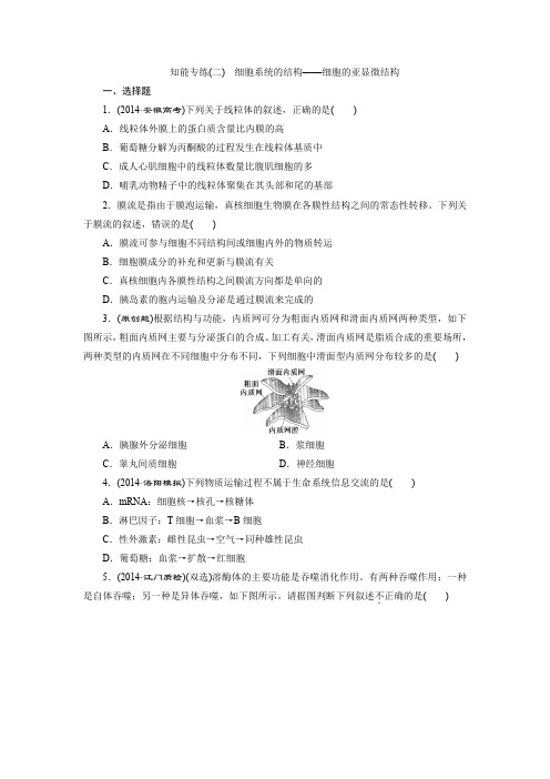 2015高考生物二轮复习练习:知能专练(二) 细胞系统的结构——细胞的亚显微结构