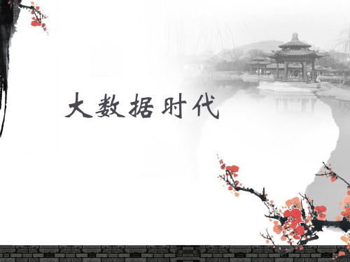 大数据时代