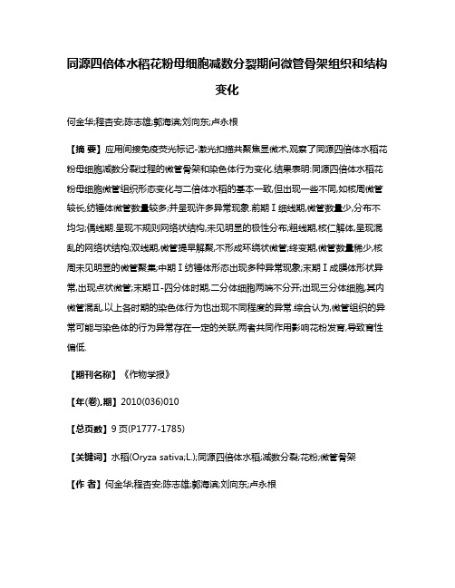 同源四倍体水稻花粉母细胞减数分裂期间微管骨架组织和结构变化