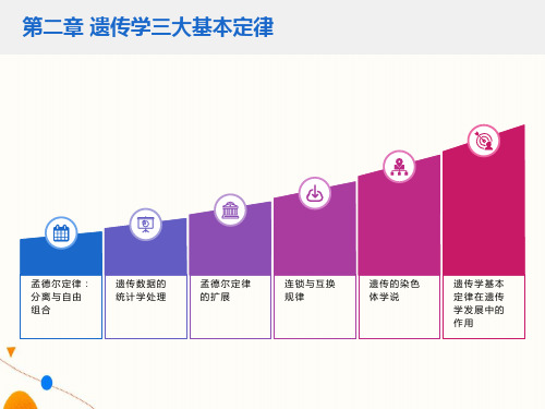 遗传学第二章遗传基本规律