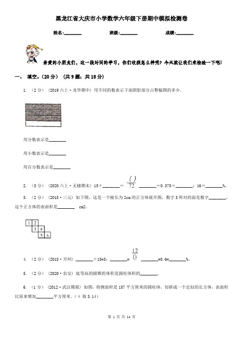 黑龙江省大庆市小学数学六年级下册期中模拟检测卷