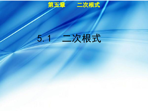 秋八年级数学上册湘教版教学课件：5.1 二次根式(共12张PPT)