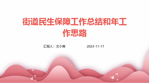 街道民生保障工作总结和年工作思路