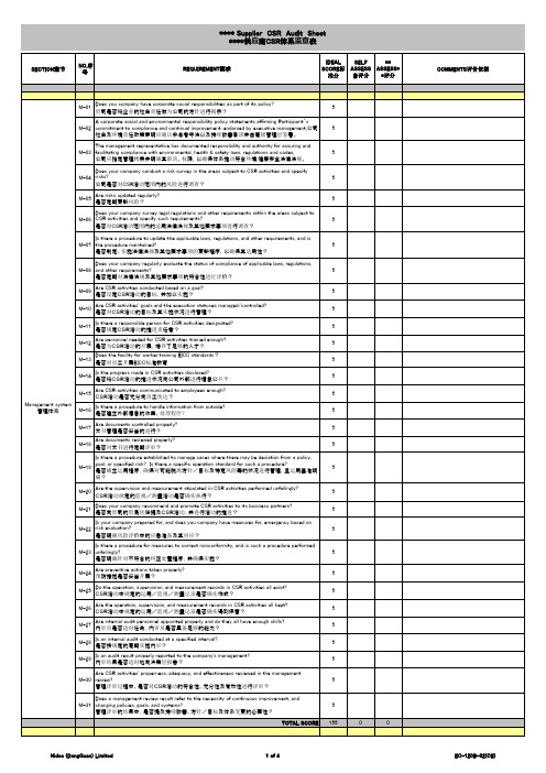 供应商CSR监查表_CE
