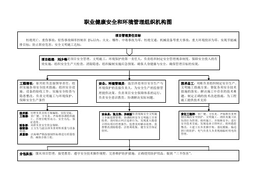 职业健康安全环境组织机构图
