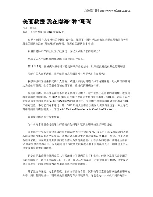 美丽救援 我在南海“种”珊瑚