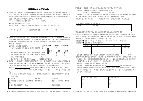 九年级化学酸碱盐实验探究