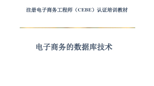 教学课件 《电子商务的数据管理技术》-徐保民