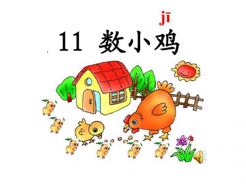 11、数小鸡