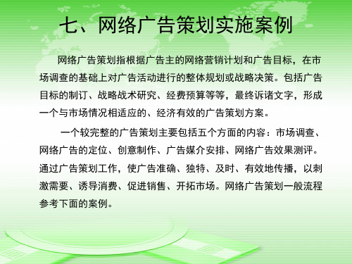 网络广告策划实施案例.