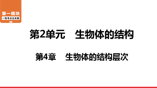 广东北师大版生物中考一轮第4章生物体的结构层次复习课件