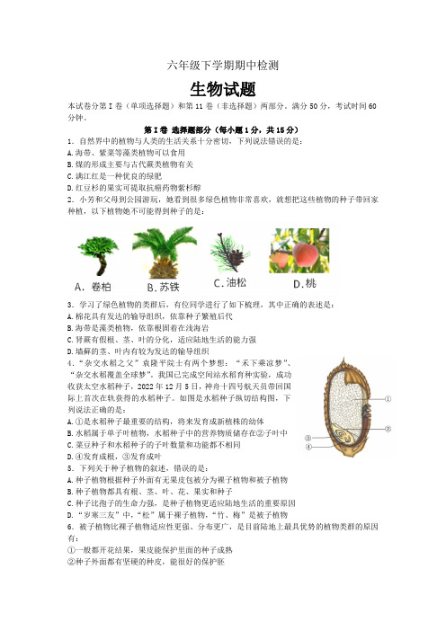 山东省泰安市新泰市2022-2023学年六年级下学期期中生物试题(含答案)