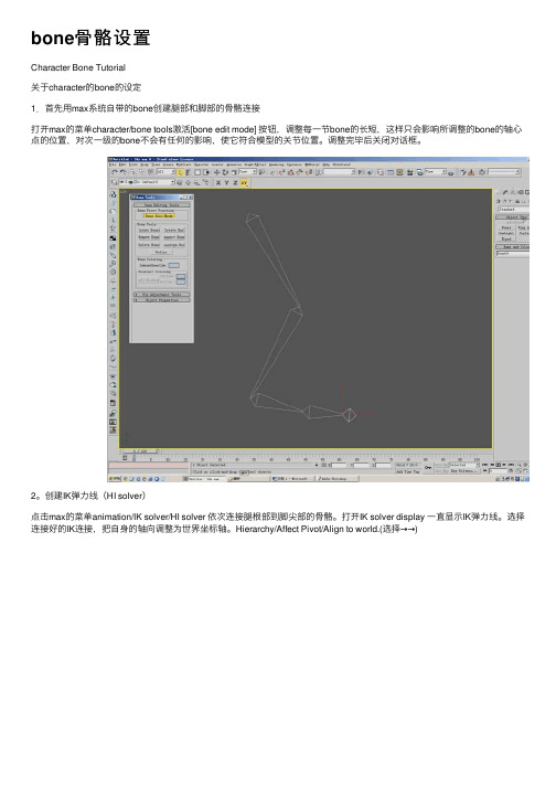 bone骨骼设置