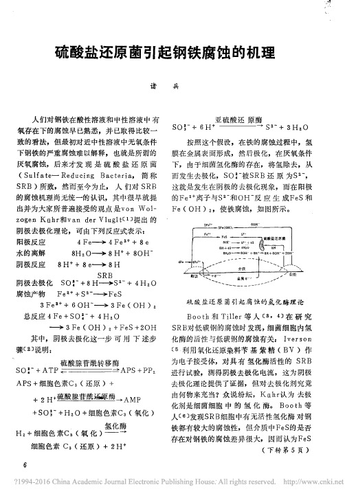 硫酸盐还原菌引起钢铁腐蚀的机理_诸兵