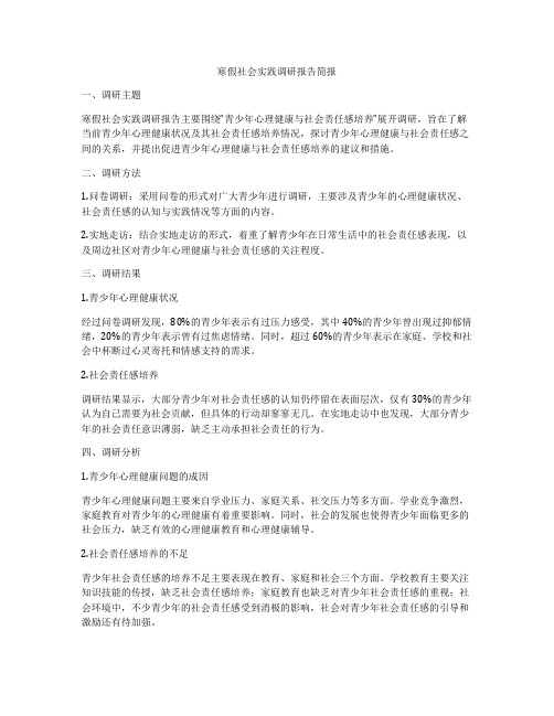 寒假社会实践调研报告简报