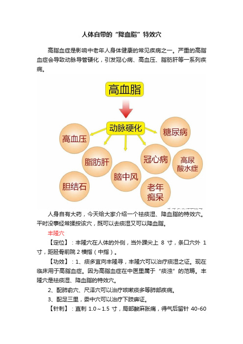 人体自带的“降血脂”特效穴