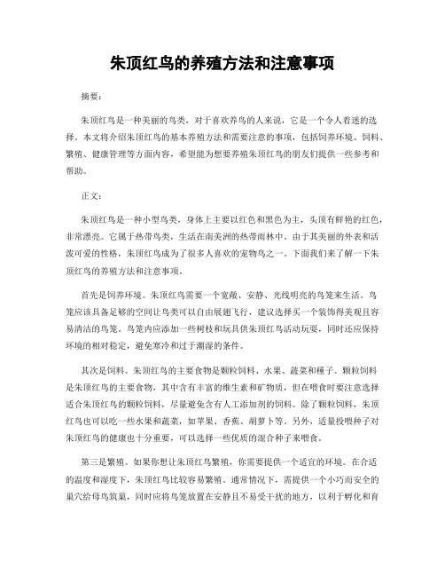 朱顶红鸟的养殖方法和注意事项