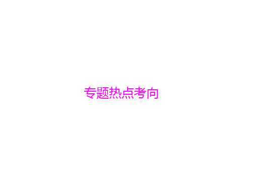南方新高考2015物理(广东)一轮课件:专题01运动的描述·直线运动专题热点考向