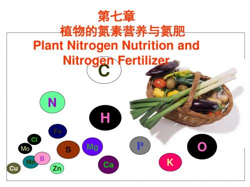 03-氮素营养和氮肥