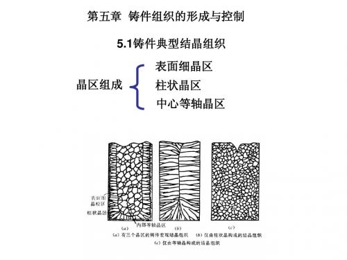 第五章铸件组织的形成与控制