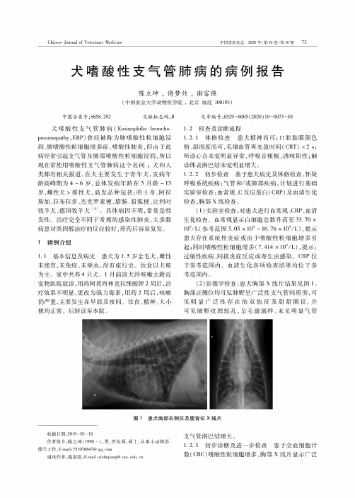 犬嗜酸性支气管肺病的病例报告