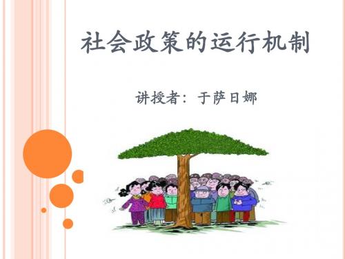 社会政策的运行机制.pptx [恢复]