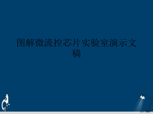 图解微流控芯片实验室演示文稿