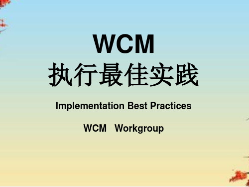 世界级工厂(WCM)执行最佳实践(ppt 17页)