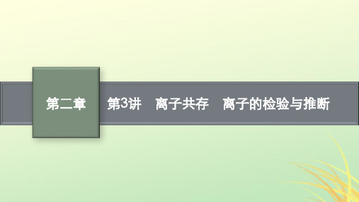 新高考新教材广西专版化学一轮总复习第二章物质及其变化第3讲离子共存离子的检验与推断pptx课件